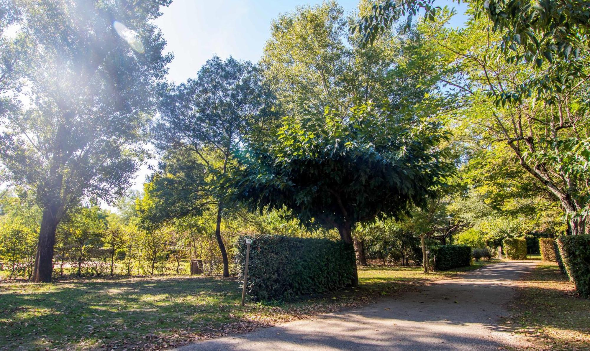 Hotel Du Cros D'Auzon Saint-Maurice-d'Ardeche Экстерьер фото
